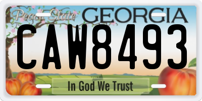 GA license plate CAW8493