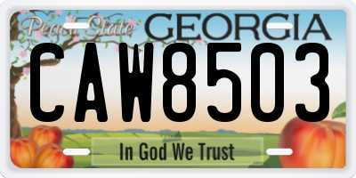GA license plate CAW8503