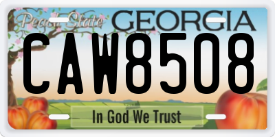 GA license plate CAW8508