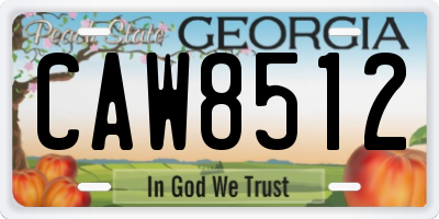 GA license plate CAW8512