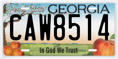 GA license plate CAW8514