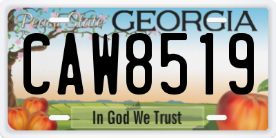 GA license plate CAW8519