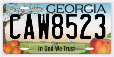 GA license plate CAW8523