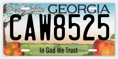 GA license plate CAW8525