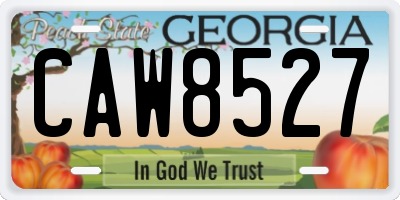 GA license plate CAW8527