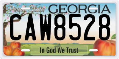 GA license plate CAW8528