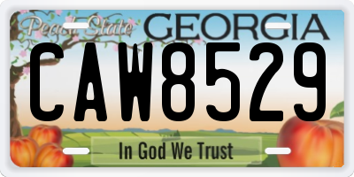 GA license plate CAW8529