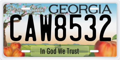 GA license plate CAW8532