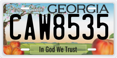 GA license plate CAW8535
