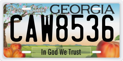 GA license plate CAW8536