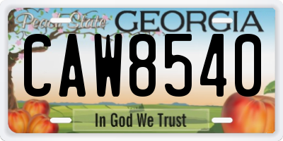 GA license plate CAW8540