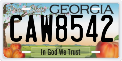 GA license plate CAW8542
