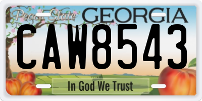 GA license plate CAW8543