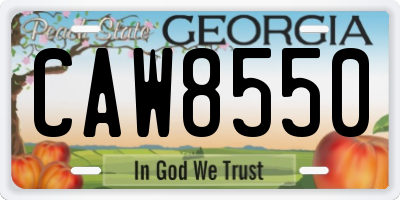 GA license plate CAW8550