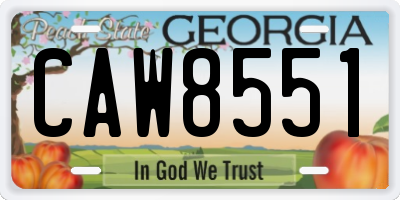 GA license plate CAW8551
