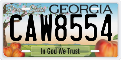 GA license plate CAW8554