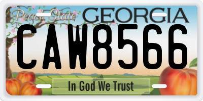 GA license plate CAW8566