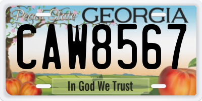 GA license plate CAW8567