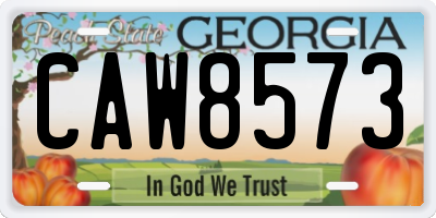 GA license plate CAW8573