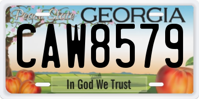 GA license plate CAW8579