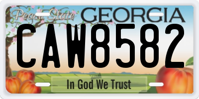 GA license plate CAW8582