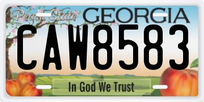 GA license plate CAW8583