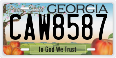 GA license plate CAW8587
