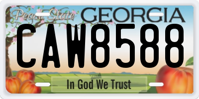 GA license plate CAW8588