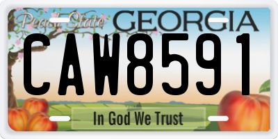 GA license plate CAW8591