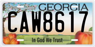 GA license plate CAW8617
