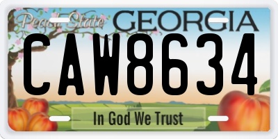 GA license plate CAW8634
