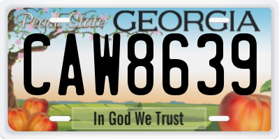 GA license plate CAW8639