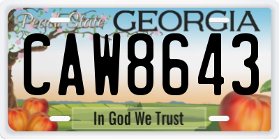 GA license plate CAW8643