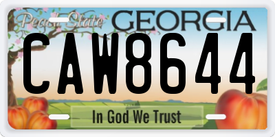 GA license plate CAW8644