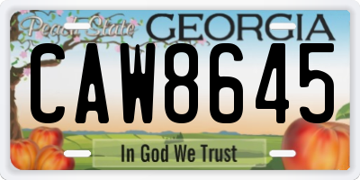 GA license plate CAW8645