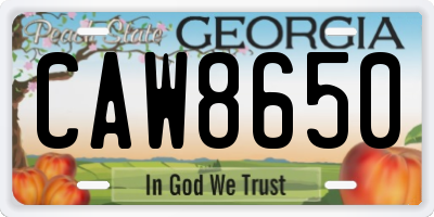GA license plate CAW8650