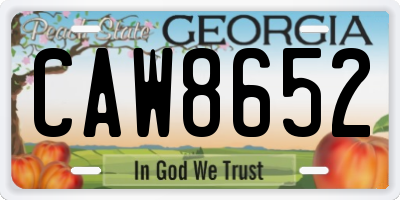 GA license plate CAW8652