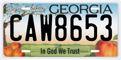 GA license plate CAW8653