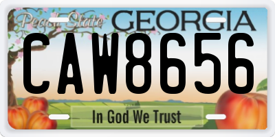 GA license plate CAW8656