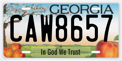 GA license plate CAW8657