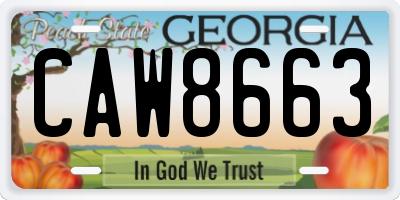 GA license plate CAW8663