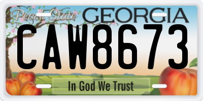 GA license plate CAW8673