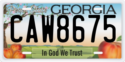GA license plate CAW8675