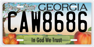 GA license plate CAW8686