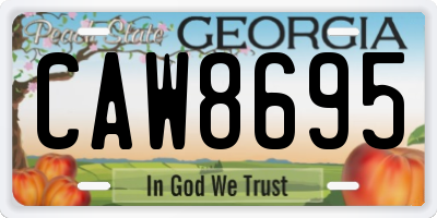 GA license plate CAW8695