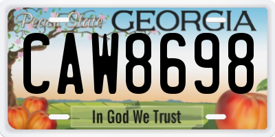 GA license plate CAW8698