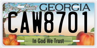 GA license plate CAW8701