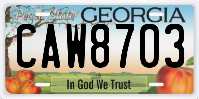 GA license plate CAW8703
