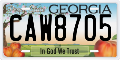 GA license plate CAW8705
