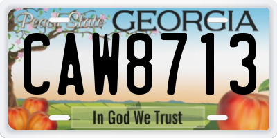 GA license plate CAW8713
